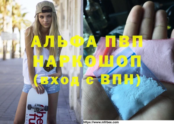 spice Беломорск