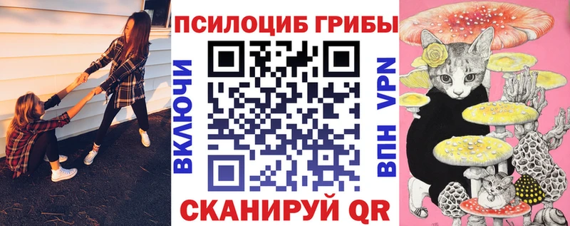 гидра ссылка Клинцы Псилоцибиновые грибы Psilocybine cubensis